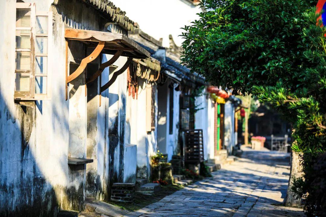 解惑蜗牛,人为什么要睡觉问答平台